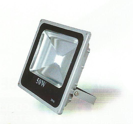 LED Flood Light